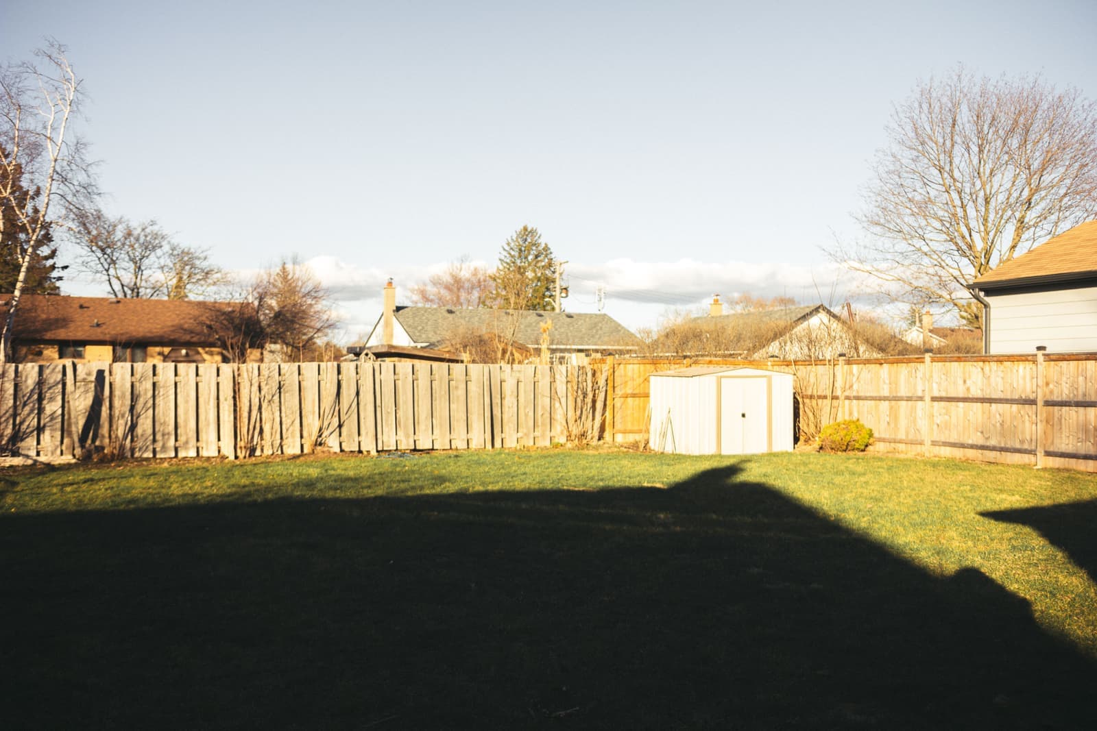 Residential backyard with a wooden fence, shed and mown lawn
