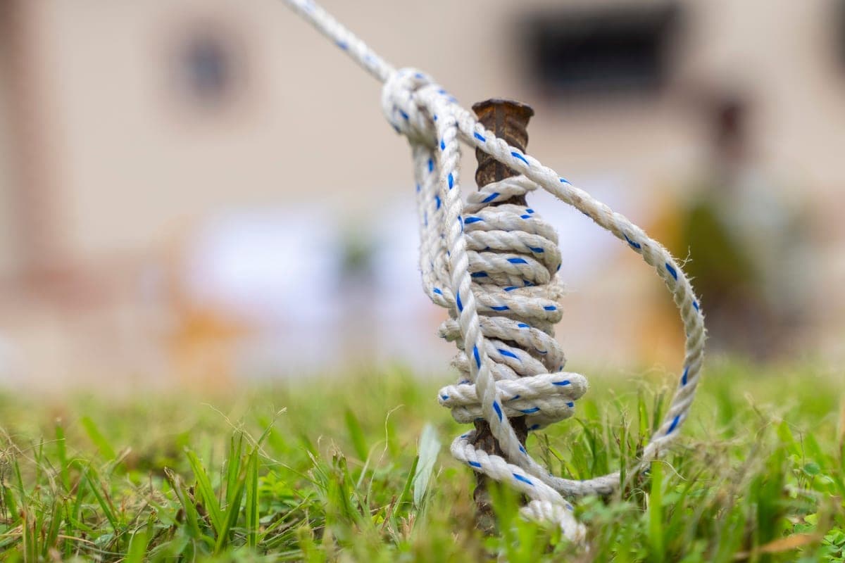 Rope wrapped tightly around a stake driven into a grassy field