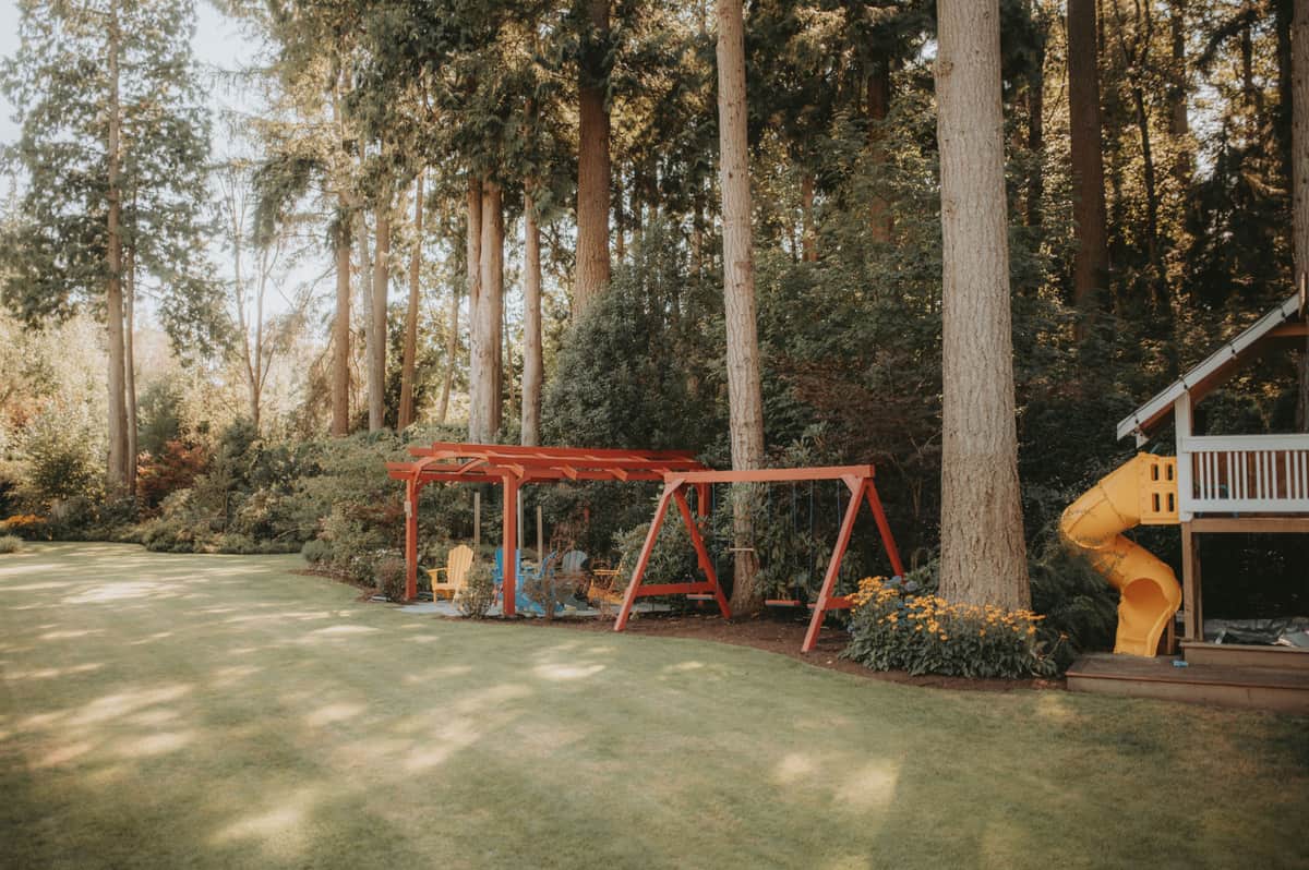 Playground with swings and a slide beside a green forest